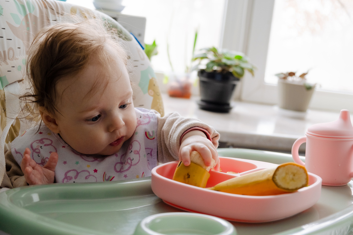 Cute baby girl tries to eat her first meal. Baby-Led Weaning (BLW). Adorable infant eating in the baby chair